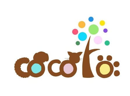 Cocoro-447x332