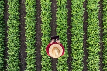 Harnessing Data Insights for Precision Agriculture