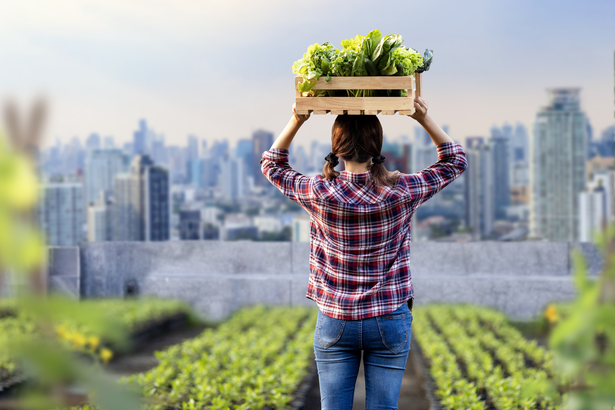 how-city-farming-transforms-the-way-we-get-our-food
