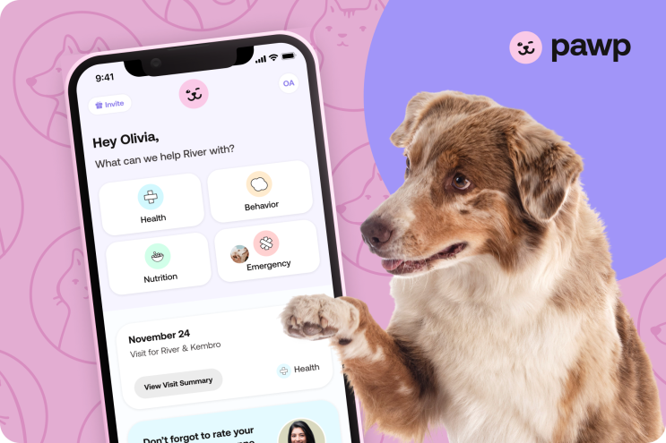 brand-story-pawp-animal-care