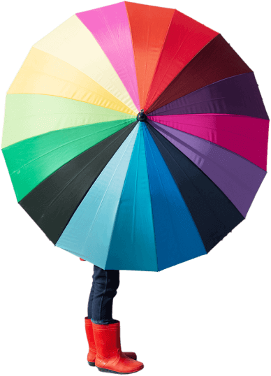 ホームヒーロー_1_388x538