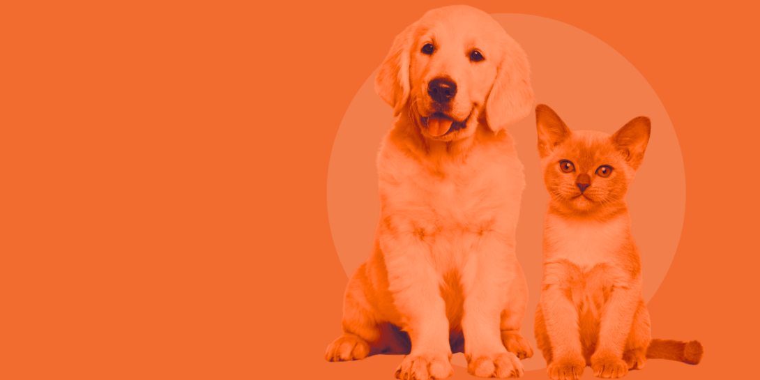 WIM_Animal-Health-1090x545